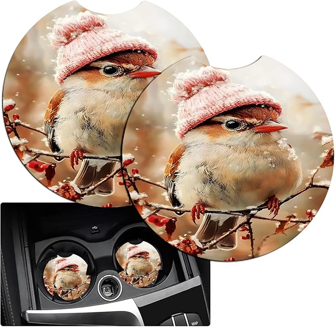 JANENFNA Car Armrest Cover Pads Universal Fashion Cute Auto Center Console Armrest Cover Pad with 2PCS Car Coasters Soft Waterproof Car Armrest Seat Protector for Women,Bird in Pink Hat