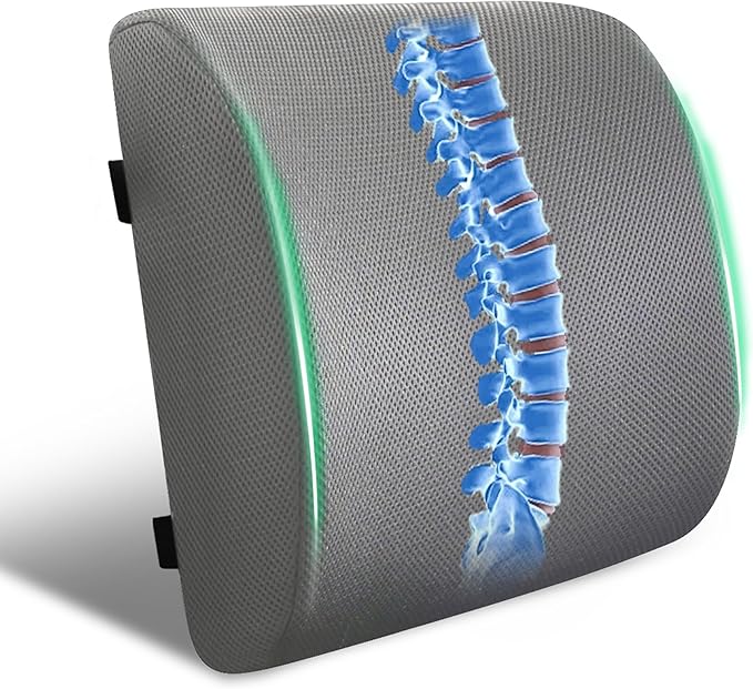 FuturaLoom Lumbar Support Pillow for Office Chair and Car,Back Support for Office Chair,Charcoal Memory Foam Back Cushion with Breathable Mesh Cover,Double Adjustable Straps,Grey