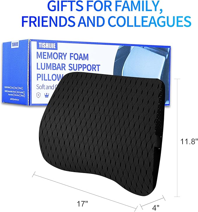 Lumbar Support Pillow for Car, Lower Back Support for Driving Seat Memory Foam Lumbar Pillow for Office Chair - Back Pain Relief for Car Seat, Wheelchair (4D Mesh Black)