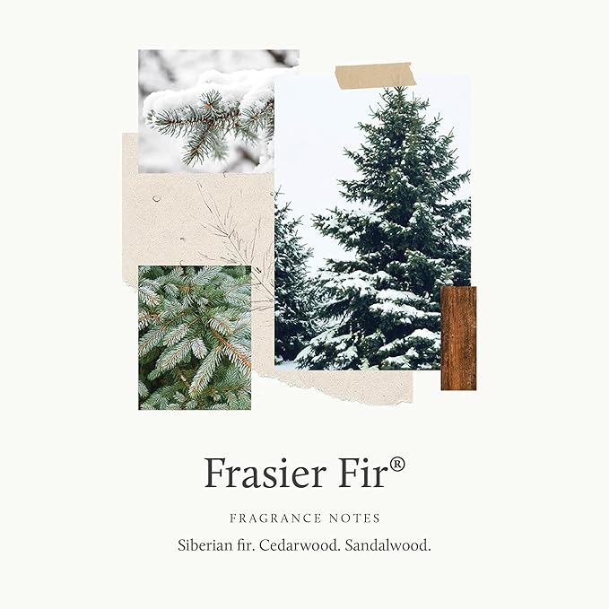 Thymes Frasier Fir Car Diffuser Kit + Refills – Vent Clip Air Freshener + 4 Frasier Fir Diffuser Reeds – Car Air Fresheners with Fresh Scent – Long-Lasting Fragrance