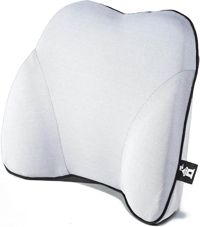 Castle Squire Firm Memory Foam Lower Back Backrest - Dense Foam Padding Lumbar Support Pillow for Home, Office, Auto, and Travel (Squire Size, Bone)