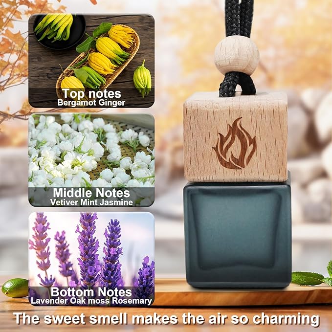 Car Air Freshener Hanging 2 Pack, Cool Ice Fragrance Essential Oil Diffuser for Cars, Long Lasting Car Scent Air Fresheners Car Accessories for Men