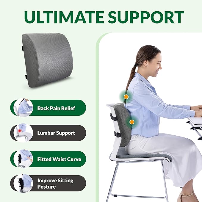 FuturaLoom Lumbar Support Pillow for Office Chair and Car,Back Support for Office Chair,Charcoal Memory Foam Back Cushion with Breathable Mesh Cover,Double Adjustable Straps,Grey
