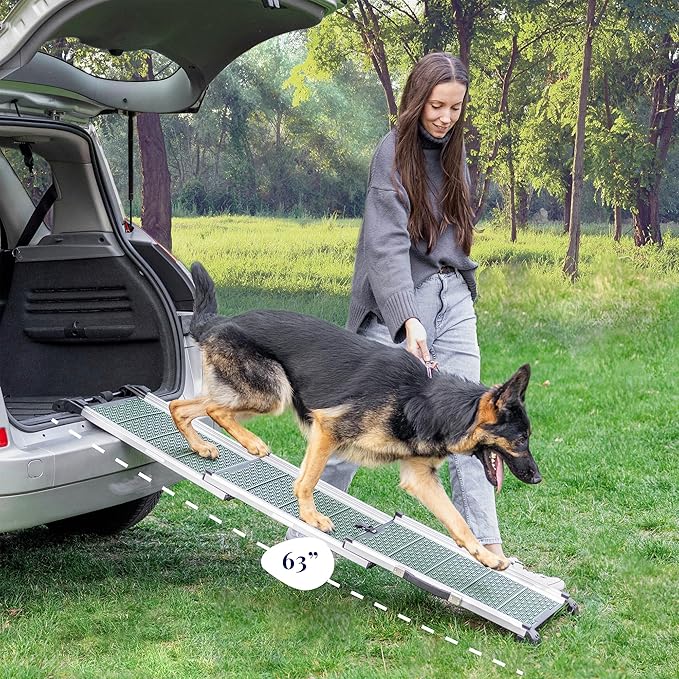 Dog Ramp for Car - Stable Anti-Slip Dog Car Ramp for Large Dogs - 63" Long & 15" Wide - 250LBS Capacity - Telescoping Pet Ramp - Lightweight - Reflective Sides - Fixing Clip - Forest Green