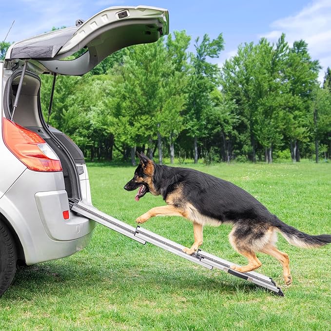 Dog Ramp for Car - Stable Anti-Slip Dog Car Ramp for Large Dogs - 63" Long & 15" Wide - 250LBS Capacity - Telescoping Pet Ramp - Lightweight - Reflective Sides - Fixing Clip - Shadow Gray