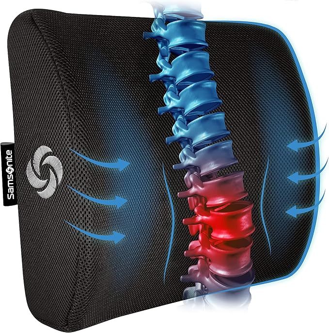 Samsonite Ergonomic Lumbar Support Pillow for Office Chair, Gaming Chair, or Car, Memory Foam Cushion with Breathable Ventilated Mesh and Adjustable Straps for Long Lasting Back Support