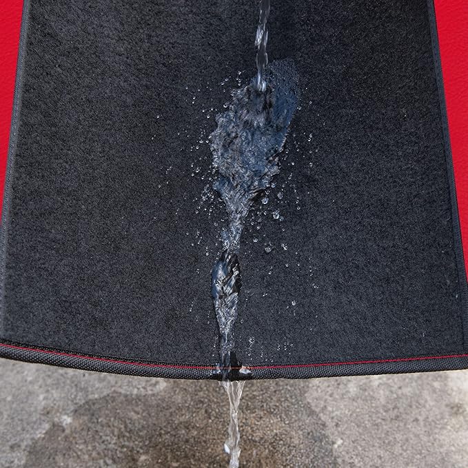 CAR PASS Rainbow Waterproof Universal Fit Faux Leather Car Carpet- Anti-Slip Nibbed Backing Floor Mats for SUV, Vans,Sedans,Trucks, Automotive Set of 4 for Women (Black with Red)