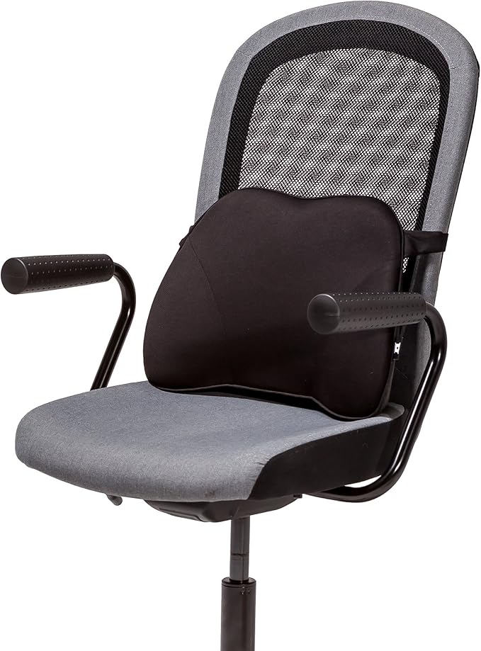 Castle Squire Firm Memory Foam Lower Back Backrest - Dense Foam Padding Lumbar Support Pillow for Home, Office, Auto, and Travel (Squire Size, Nightfall)